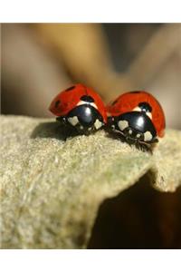 Ladybugs on a Leaf Dot Grid Bullet Journal: 150 Page Notebook 8 X 10 Inches