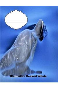 Blainville's Beaked Whale Wide Ruled Line Paper Compositiion Book