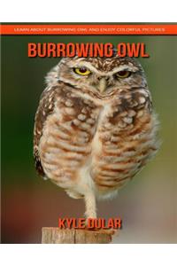 Burrowing Owl! Learn about Burrowing Owl and Enjoy Colorful Pictures