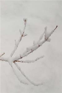 2019 Daily Planner Snowy Branch 384 Pages