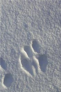 2019 Daily Planner Winter Theme Snow Footprints 384 Pages