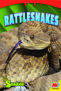 Rattlesnakes