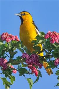 Bird Journal
