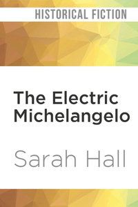 Electric Michelangelo