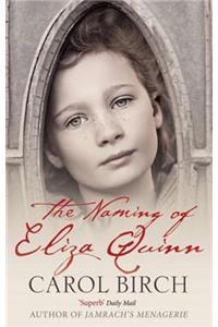 The Naming Of Eliza Quinn
