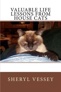 Valuable Life Lessons from House Cats