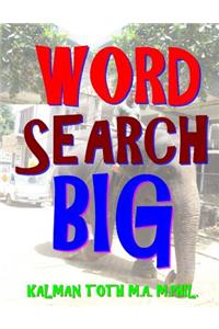 Word Search Big