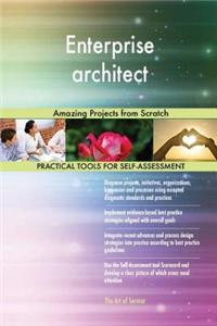 Enterprise architect