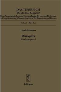 Dermaptera. Catadermaptera I