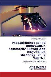 Модифицирование природных алюмосиликат&#