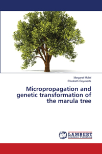 Micropropagation and genetic transformation of the marula tree