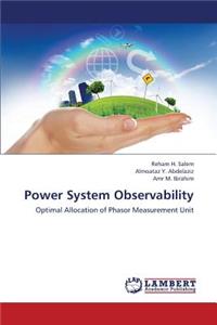 Power System Observability