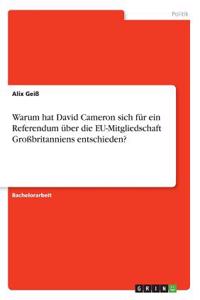 Warum hat David Cameron sich für ein Referendum über die EU-Mitgliedschaft Großbritanniens entschieden?