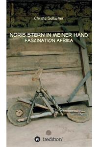 Noris Stern in Meiner Hand