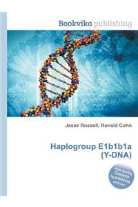 Haplogroup E1b1b1a (Y-Dna)