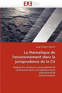 thématique de l'environnement dans la jurisprudence de la cij