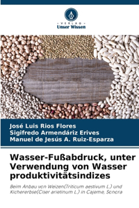 Wasser-Fußabdruck, unter Verwendung von Wasser produktivitätsindizes