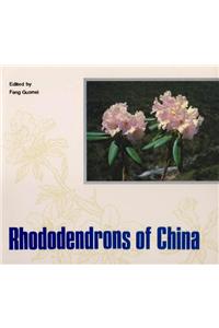 Rhododendrons of China