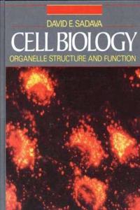 Cell Biology Organelle Structure and Function