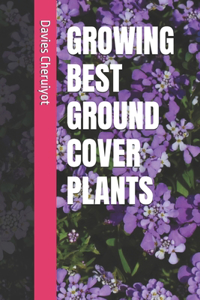 Growing Best Ground Cover Plants
