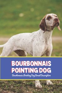 Bourbonnais Pointing Dog