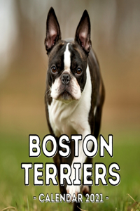 Boston Terriers Calendar 2021