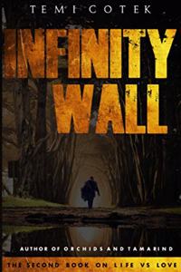 Infinity Wall