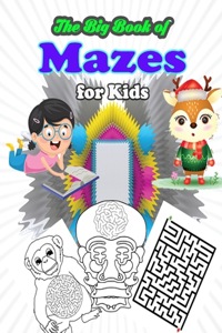 Big Book of Mazes for Kids