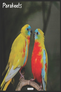 Parakeets 2021 Wall Calendar