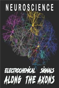 Neuroscience Electrochemical Signals, Along the Axons