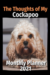 Thoughts of My Cockapoo