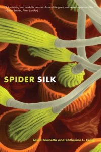 Spider Silk