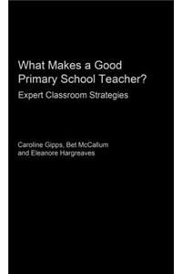 What Makes a Good Primary School Teacher?