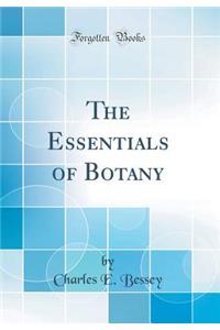 The Essentials of Botany (Classic Reprint)