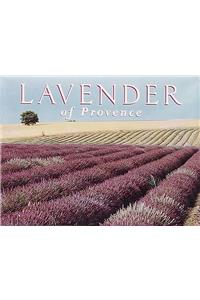 Lavender of Provence Boxed Notecards