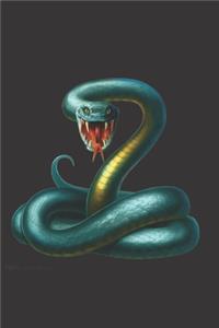 Journal For Young Boy