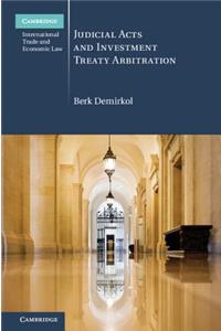 Judicial Acts and Investment Treaty Arbitration