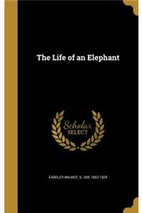The Life of an Elephant