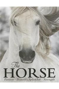 The Horse: Passion, Beauty, Splendor, Strength