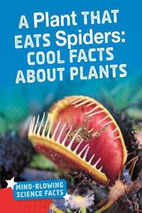 A Plant That Eats Spiders
