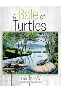 A Bale of Turtles