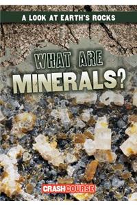 What Are Minerals?