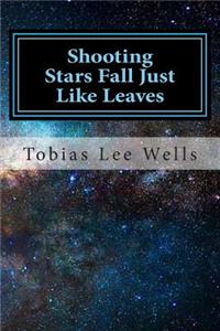Shooting stars fall just like leaves