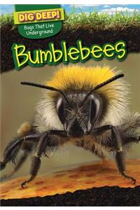 Bumblebees