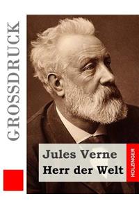 Herr der Welt (Großdruck)