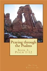 Praying through the Psalms