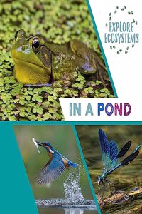 Explore Ecosystems: In a Pond