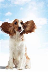 Funny Dog May Notebook & Journal. Productivity Work Planner & Idea Notepad