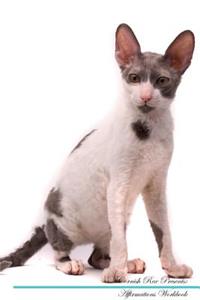 Cornish Rex Affirmations Workbook Cornish Rex Presents