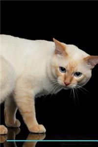Mekong Bobtail Affirmations Workbook Mekong Bobtail Presents